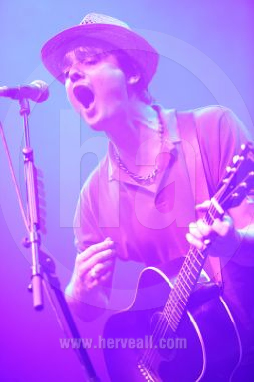 Pete Doherty purple