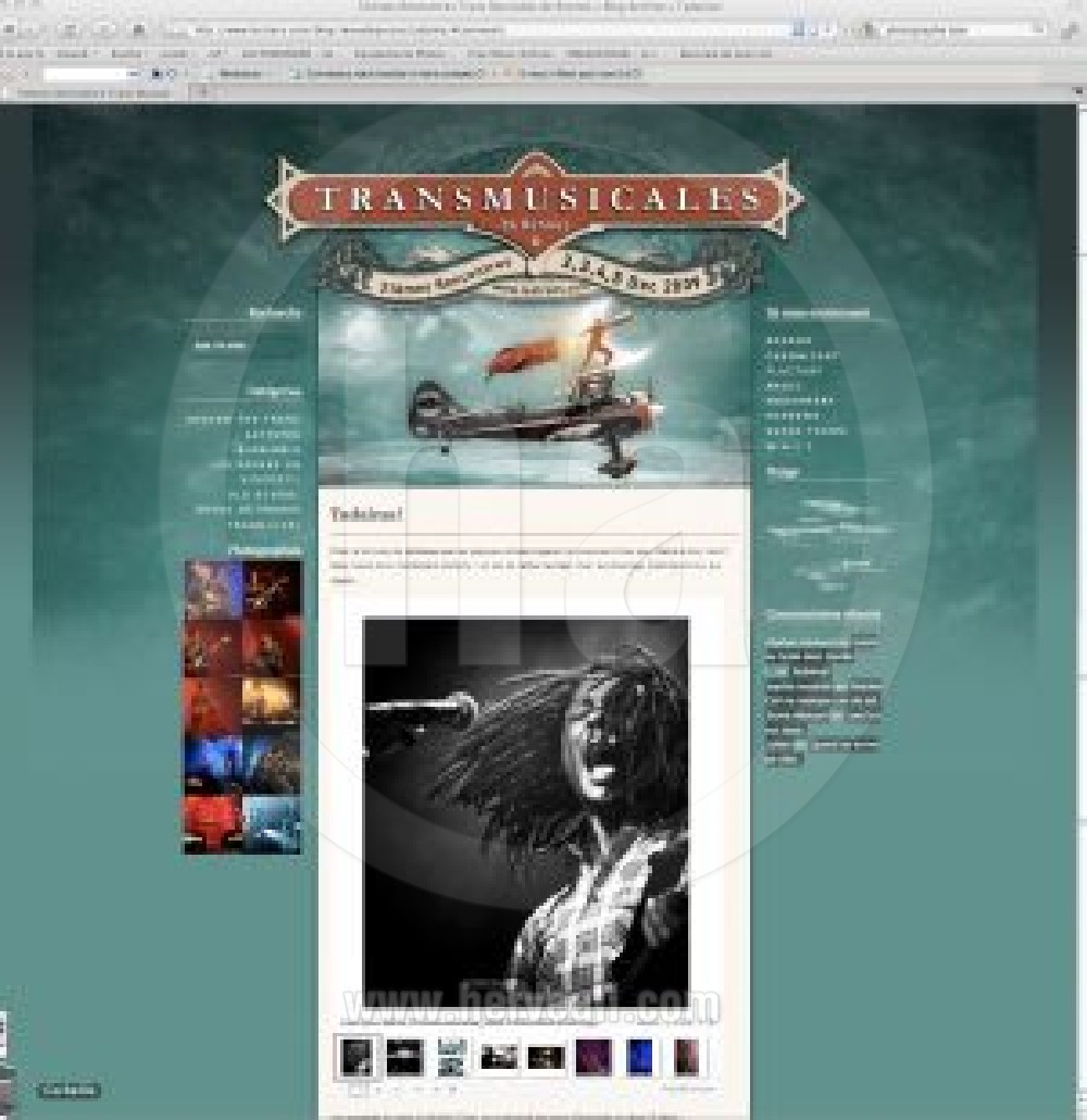 Site officiel des Transmusicales 